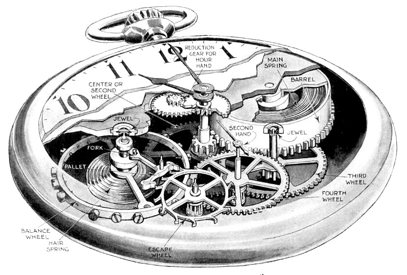 Cutaway illustration of a pocket watch with the dial peeled back to expose the movement beneath — main spring, barrel, train wheels, escape wheel, balance wheel, pallet, fork — each component labelled. B. G. Seielstad for Popular Science Monthly, 1931.